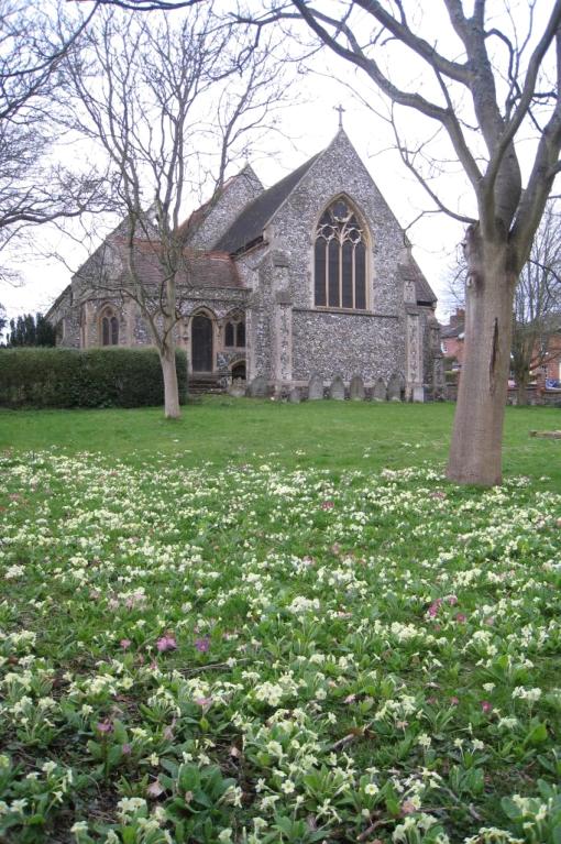 Springtime in the churchyard: Holy Trinity church (2015)
