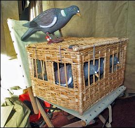 During WW1 carrier pigeons were widely used for communications