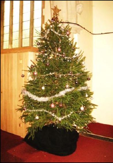 The church Christmas tree
