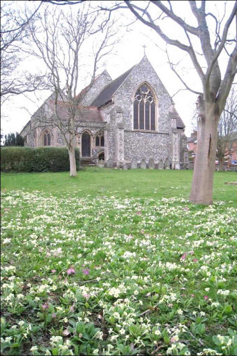 A flood of primroses adorns the lower churchyard with gentle spring colour