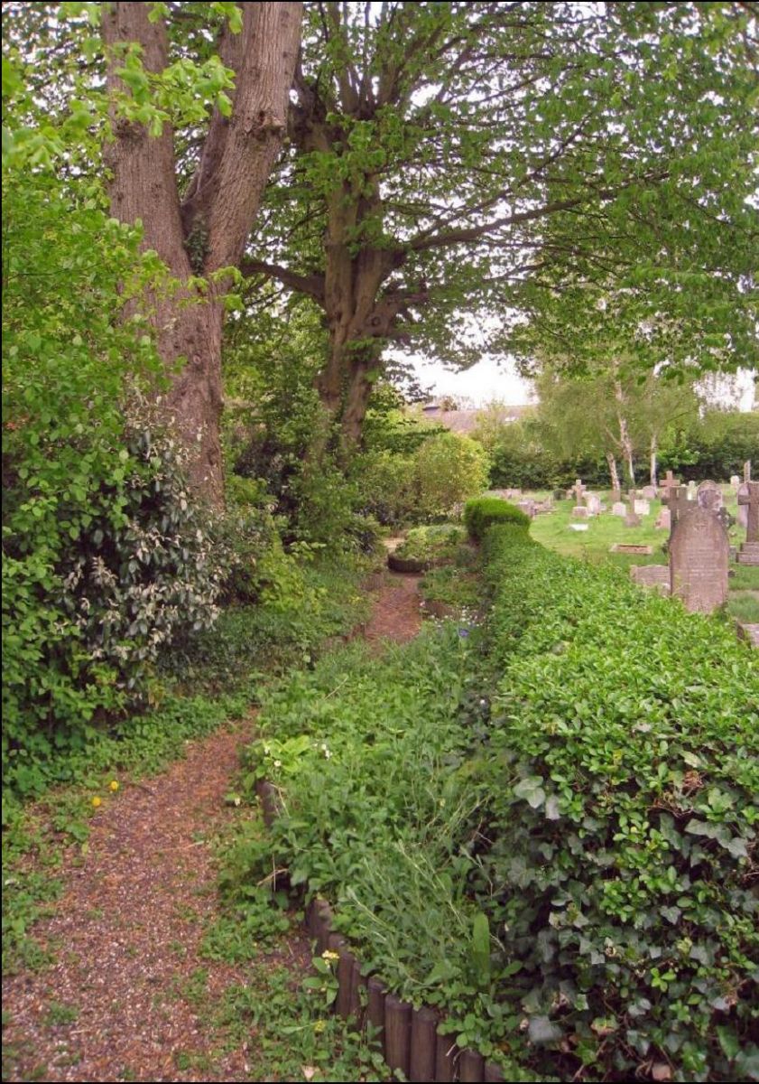 The lower path leading through the Millennium Garden at Holy Trinity church