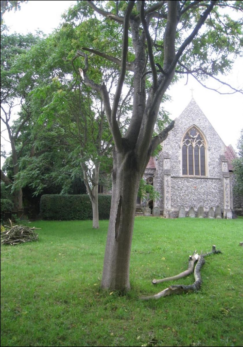 The lower churchyard after the storm